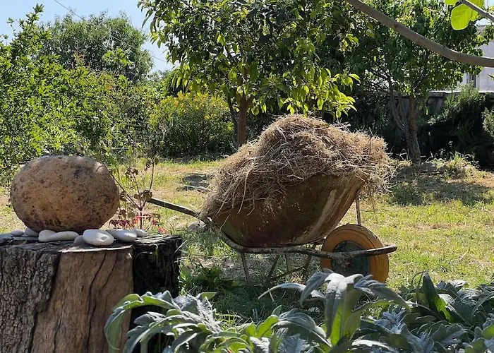 Διαμέρισμα Color - South Paradise 4