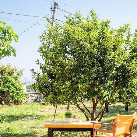 Color - South Paradise 4 Apartment Himare